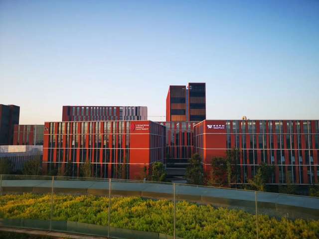 黑龙江蛋白质除沫器设备